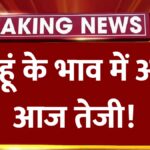 Gehun Ka Bhav 2026: आज का गेहूं का भाव । गेहूं के भाव में आई आज तेजी । गेहूं का भाव