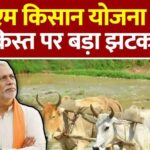 पीएम किसान योजना: 22वीं किस्त के वितरण में हो सकती है देरी; जानें क्या हैं मुख्य कारण PM Kisan Yojana