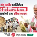 गेहूं खरीद पर मिलेगा ₹40 प्रति क्विंटल बोनस, किसानों को होगा सीधा फायदा