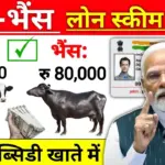 पशुपालन लोन योजना 2026: गाय-भैंस पालन के लिए लोन कैसे लें? पूरी जानकारी